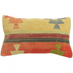 Housse de coussin 30x50 Lumbar C029